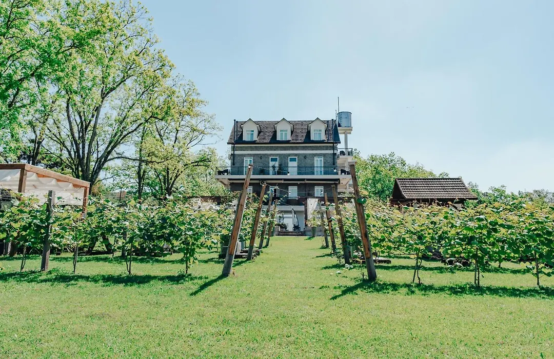 Lote20 Hotel Boutique-1
